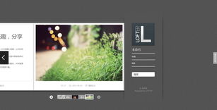 網頁設計與開發 以網站核心內容為中心的藝術與科學